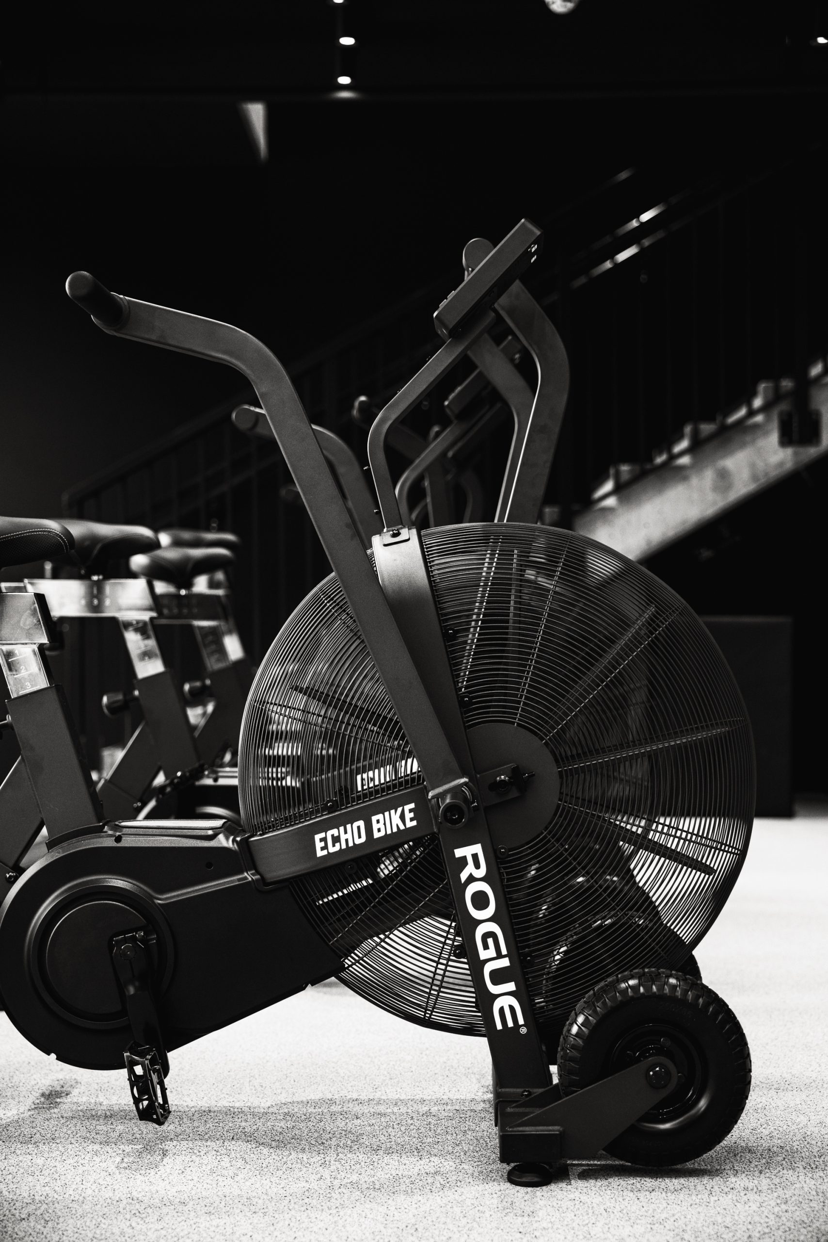 Rogue Echo Bike at Yard Athletics